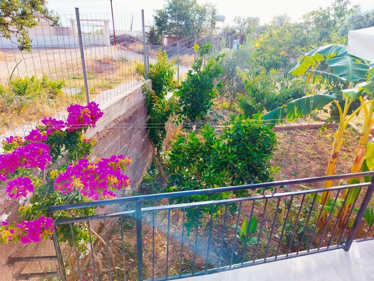 Orange Guest House Dhermi Exterior photo
